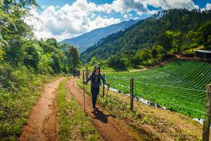 BIB: 
                            <button type="button" onclick="openModal(19156230)" class="btn btn-primary btn-sm float-right btn-popup" data-toggle="modal" data-target=".modal-high-quality">
                        <i class="fas fa-shopping-cart"></i> Add to Cart
                    </button>
                                            <button type="button" onclick="isThisMe(19156230, true)" class="btn btn-success btn-sm float-right btn-popup btn-isme hidden" data-toggle="tooltip" data-placement="bottom" title="นี่คือรูปของคุณใช่ไหม คลิกที่นี่เพื่อเอาเข้าอัลบั้ม">
                        <i class="fas fa-plus"></i> Add to album
                    </button>
                    <button type="button" onclick="isThisMe(19156230, false)" class="btn btn-warning btn-sm float-right btn-popup btn-isnotme hidden">
                        <i class="fas fa-ban"></i> Remove from album
                    </button>